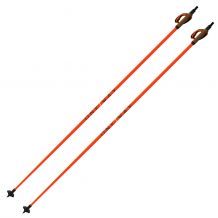 Storm 3 Fischer