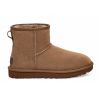 Støvler UGG Classic Mini II (Hickory) Kvinder
