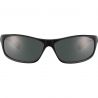 Lunettes de Soleil Bollé Anaconda Shiny Black Hd Polarized Tns