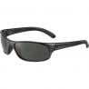 Lunettes soleil BOLLE Anaconda (Shiny Black - HD Polarized TNS) Cat. 3