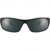 Lunettes de Soleil Bollé Anaconda Shiny Black Tns