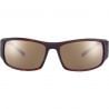 Lunettes de Soleil Bollé King Matte Tortoise Hd Polarized Brown