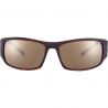 Lunettes de Soleil Bollé King Matte Tortoise Hd Polarized Brown