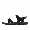 Trailstorm™ Hiker 2 Strap Columbia Black, Light Cloud
