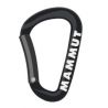 Mammut Mini Carabiner Classic Keylock S Mammut black.one size