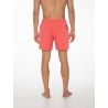 Protest Davey Beachshort New Red