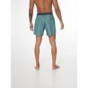 Prtfirdows Beachshort Protest Arcticgreen
