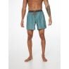 Prtfirdows Beachshort Protest Arcticgreen