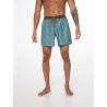 Prtfirdows Beachshort Protest Arcticgreen