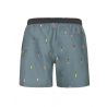 Prtfirdows Beachshort Protest Arcticgreen
