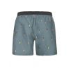Prtfirdows Beachshort Protest Arcticgreen