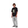 Richard French Fa Gd Lse Ss Volcom