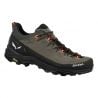 Alp Trainer 2 M Salewa Bungee Cord/Black