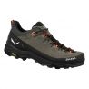 Alp Trainer 2 M Salewa Bungee Cord/Black