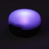 Moji R+ Lantern Black Diamond (Dark Crimson)