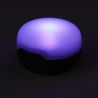 Moji R+ Lantern Black Diamond (Dark Crimson)