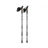 Nordic Walking Poles Maniva Cmp GREY-PURPLE FLUO