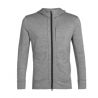 Polaire ICEBREAKER Quantum Iii Ls Zip (METRO HTHR/BLACK) homme