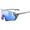 Uvex Lunettes Sportstyle 231 5416