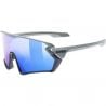Uvex Lunettes Sportstyle 231 5416