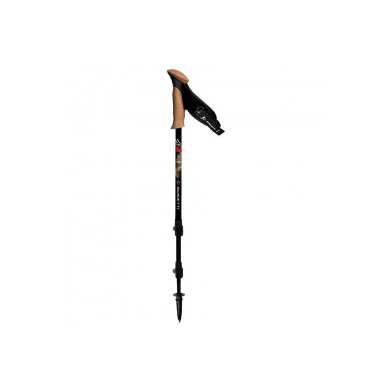 Sticks Guidetti Massif Des Vosges