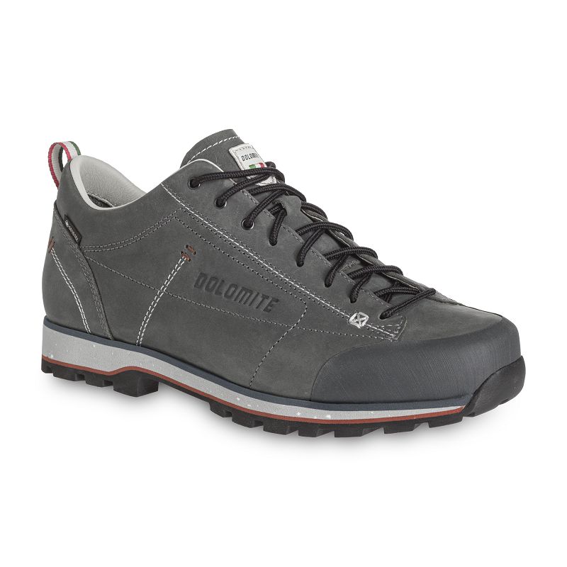 Schoenen Dolomite 54 Low Fg Evo Gore-Tex (Pewter grey)
