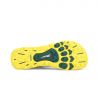 Chaussure de trail Altra Lone Peak 6 (Dusty Teal) Homme