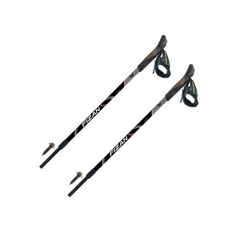 Bâtons Fizan Nw Speed (black)