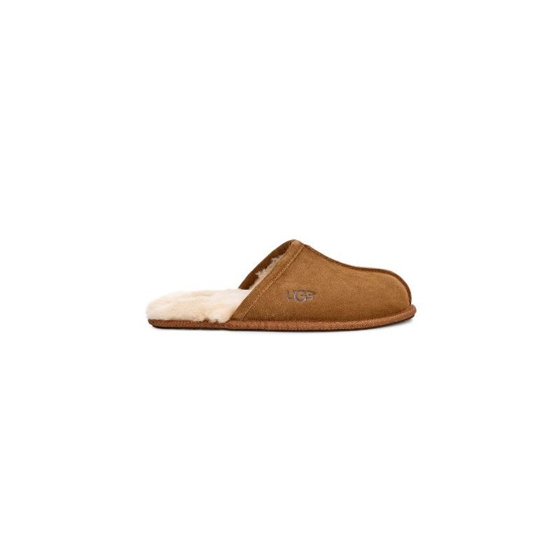 Chaussons UGG M Scuff (chestnut) homme