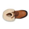 Bottines hiver Classic Mini Waterproof UGG (Chestnut) femme