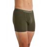 Icebreaker M Anatomica Boxers - Loden