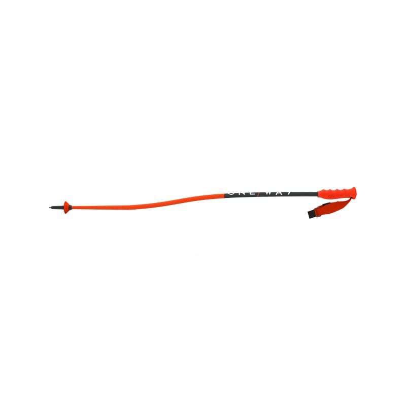 Bastones de esquí alpino ONE WAY Rd Gs Junior