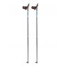 Active Pro Pole Madshus