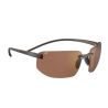 SERENGETI Lupton Shiny Dark Brown Phd 2.0 Polarized Drivers Cat 2 To 3