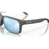 Lunettes Oakley Holbrook (Woodgrain)