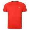 T-shirt Dare2B Accelerate Tee (Trail Blaze) man
