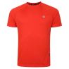 T-shirt DARE2B Accelerate Tee (Trail Blaze) homme