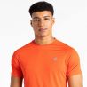 T-shirt DARE2B Accelerate Tee (Oil Green Marl) homme