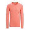 T-shirt ICEBREAKER Sphere II Tee manche longue (Vibrant Earth Heather) Homme