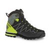 Approach schoenen Dolomite Crodarossa Pro Gore-Tex 2.0 (Zilvergroen/Limoengroen) Heren