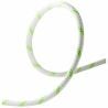 EDELRID Pintail 10,0mm (snow)