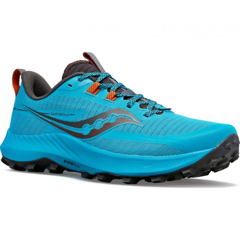 Scarpe da trail Saucony PEREGRINE 13 (AGAVE/BASALT) Uomo