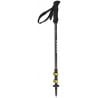 Backcountry Carbon 2.0 Camp Sticks