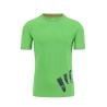 Camiseta Karpos ASTRO ALPINO (verde jazmín) Hombre