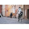 Siège vélo THULE Yepp Maxi 2 (AGAVE)