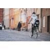 Thule YEPP MAXI 2 SEGGIOLINO PER BICI DA PORTAPACCHI (AGAVE)