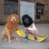 Gibbon GIBOARD - SLACKLINE BOARD - Gibbon - BONZO CLASSIC ()