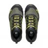 Ribelle Run XT GTX Wmn Conifer Sharp verde