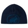 Mammut Mammut Logo Beanie (diep ijs-marine)