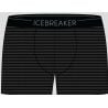 Icebreaker M Anatomica Boxers - Gritstn Htr-038